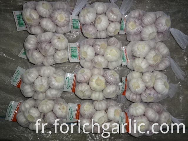 Garlic New Crop